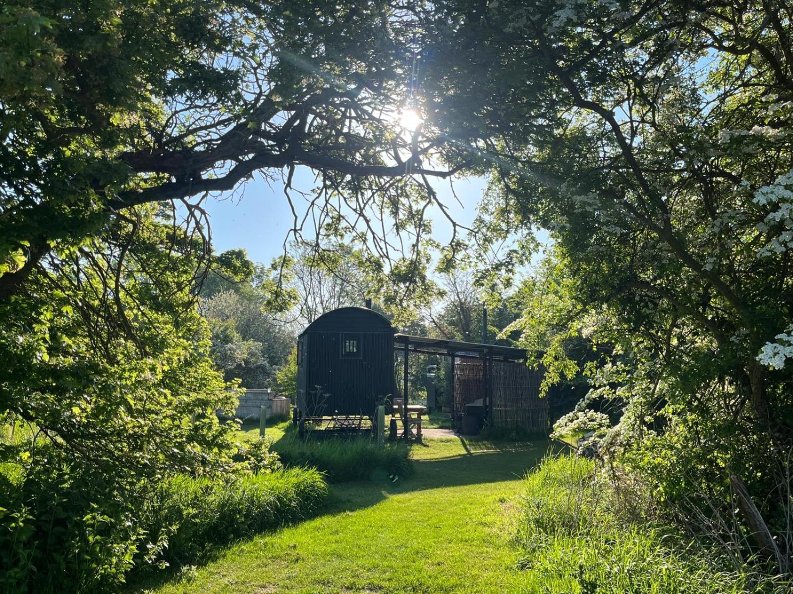 Stompy'S Hut Apartman Laxfield Kültér fotó